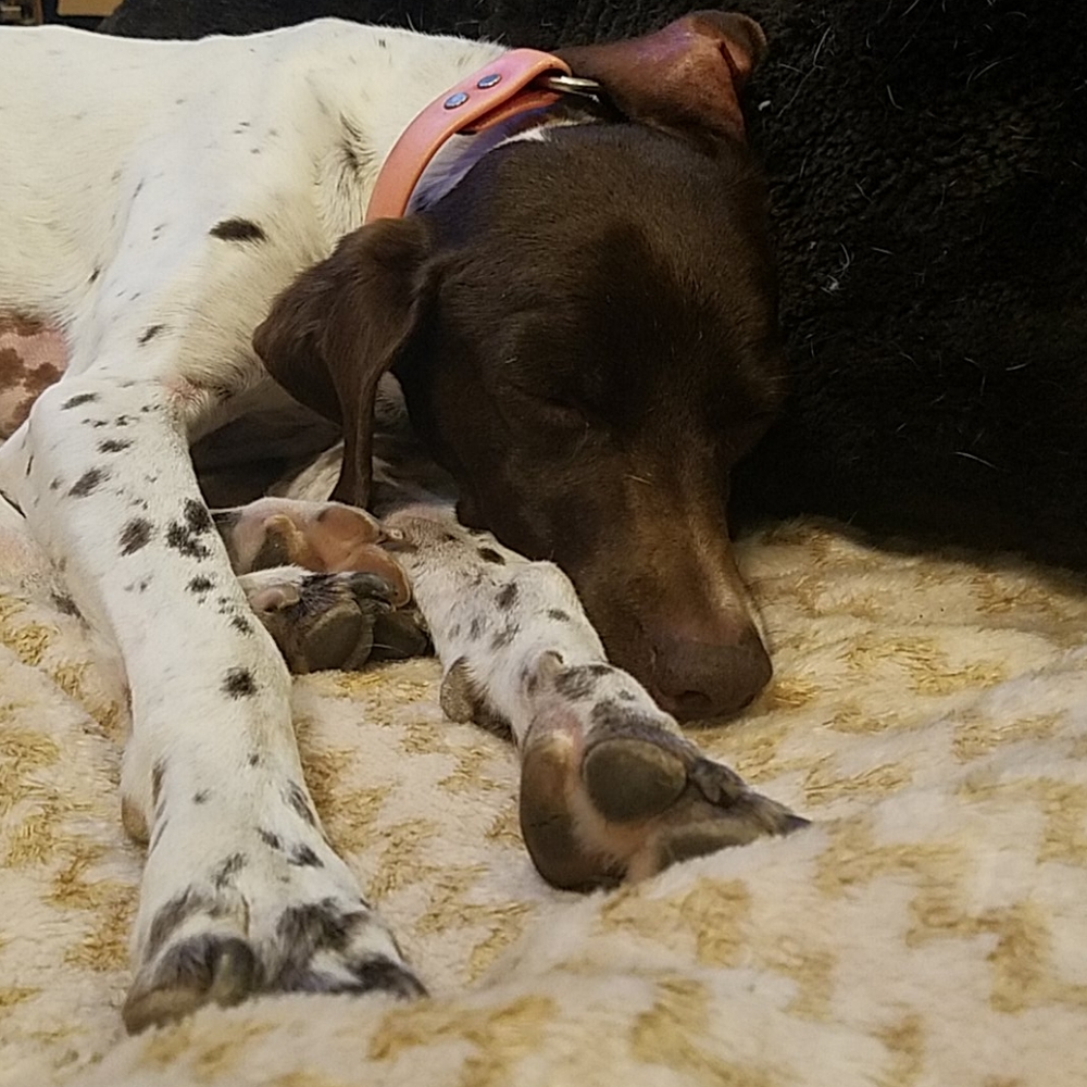 Maggie Sue says ....